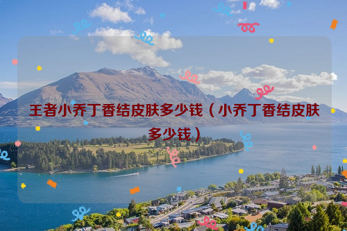王者小乔丁香结皮肤多少钱（小乔丁香结皮肤多少钱）
