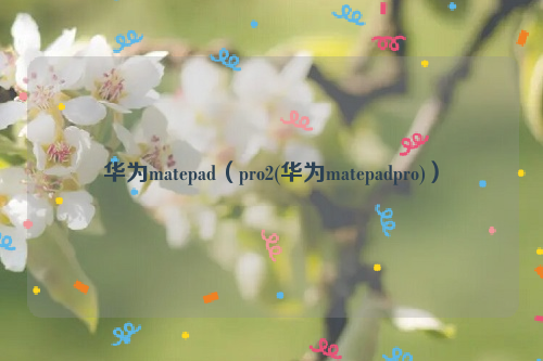 华为matepad（pro2(华为matepadpro)）