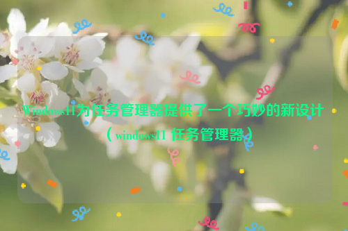 Windows11为任务管理器提供了一个巧妙的新设计（windows11 任务管理器）