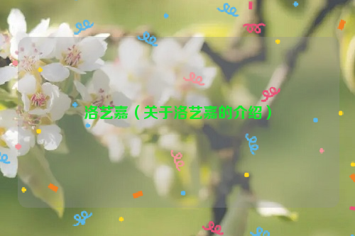 洛艺嘉（关于洛艺嘉的介绍）