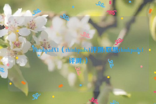 鑱旀兂ThinkpadX1（thinkpadx1评测(联想thinkpadx1评测)）