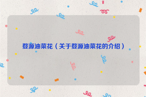 婺源油菜花（关于婺源油菜花的介绍）