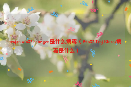 trojan.win32.heur.gen是什么病毒（Win32.Troj.Bluros病毒是什么）