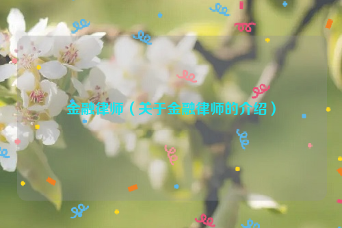 金融律师（关于金融律师的介绍）