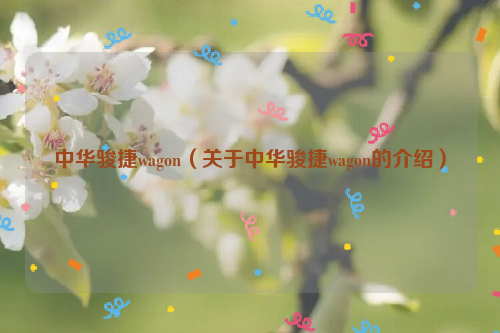 中华骏捷wagon（关于中华骏捷wagon的介绍）