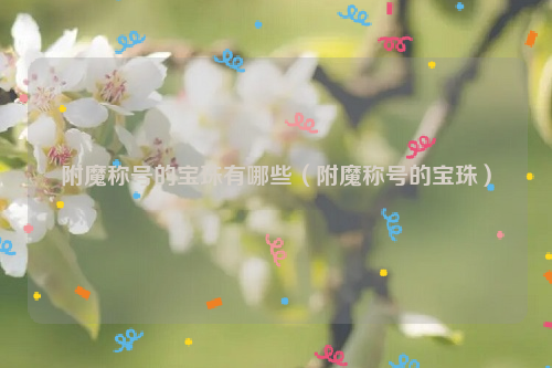 附魔称号的宝珠有哪些（附魔称号的宝珠）