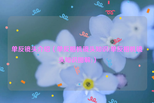 单反镜头介绍（单反相机镜头知识(单反相机镜头知识图解)）
