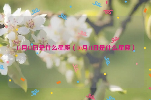 11月11日是什么星座（10月11日是什么星座）