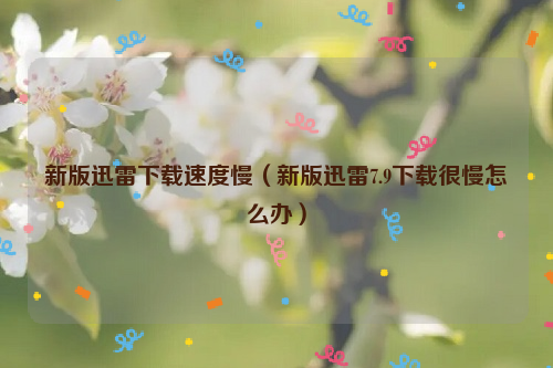 新版迅雷下载速度慢（新版迅雷7.9下载很慢怎么办）