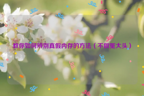教你如何辨别真假内存的方法（不做冤大头）