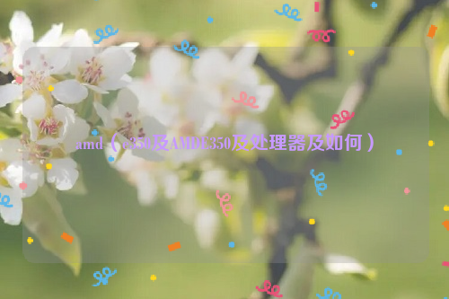 amd（e350及AMDE350及处理器及如何）