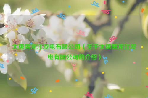 大唐黑龙江发电有限公司（关于大唐黑龙江发电有限公司的介绍）