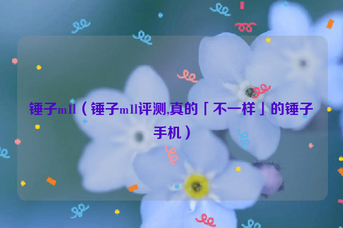 锤子m1l（锤子m1l评测,真的「不一样」的锤子手机）