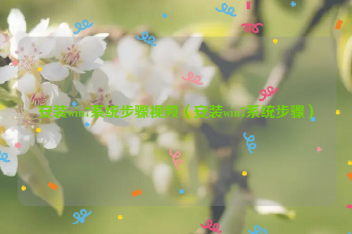 安装win7系统步骤视频（安装win7系统步骤）