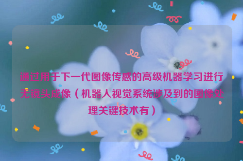 通过用于下一代图像传感的高级机器学习进行无镜头成像（机器人视觉系统涉及到的图像处理关键技术有）