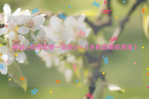 移动4g资费套餐一览表2020（手机套餐收费高）