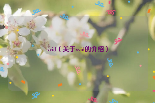 xvid（关于xvid的介绍）