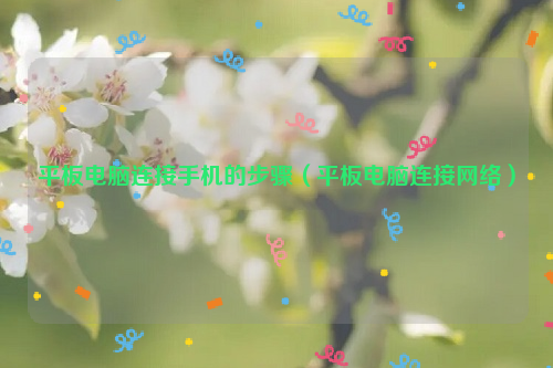 平板电脑连接手机的步骤（平板电脑连接网络）