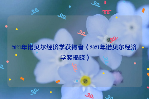 2021年诺贝尔经济学获得者（2021年诺贝尔经济学奖揭晓）