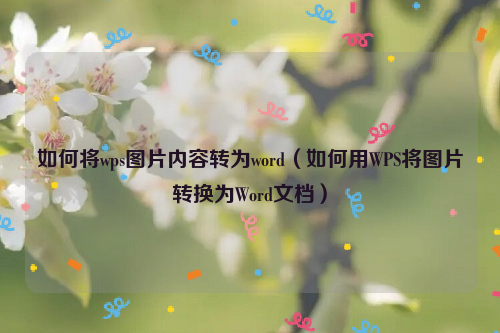 如何将wps图片内容转为word（如何用WPS将图片转换为Word文档）