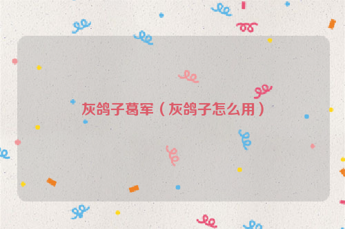 灰鸽子葛军（灰鸽子怎么用）