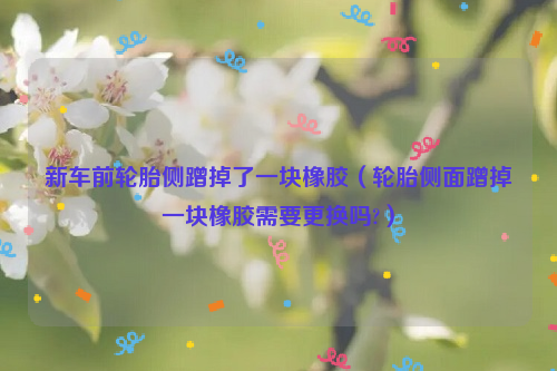 新车前轮胎侧蹭掉了一块橡胶（轮胎侧面蹭掉一块橡胶需要更换吗?）