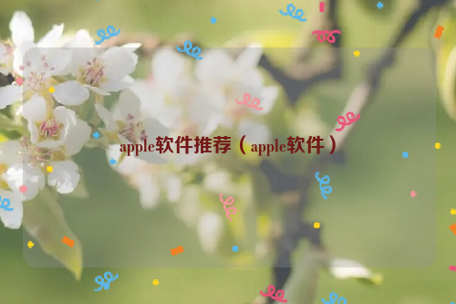 apple软件推荐（apple软件）