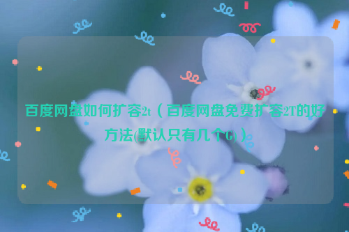 百度网盘如何扩容2t（百度网盘免费扩容2T的好方法(默认只有几个G)）
