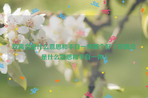 双离合是什么意思和手自一体哪个好（双离合是什么意思和手自一体）