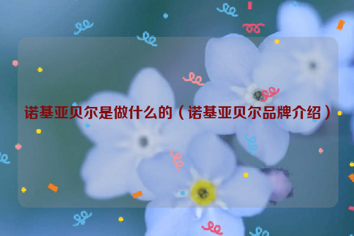 诺基亚贝尔是做什么的（诺基亚贝尔品牌介绍）