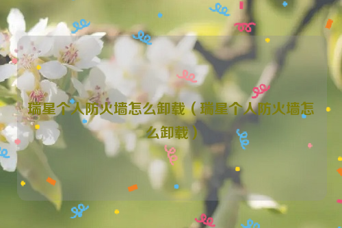 瑞星个人防火墙怎么卸载（瑞星个人防火墙怎么卸载）