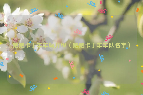 跑跑卡丁车车辆升级（跑跑卡丁车车队名字）