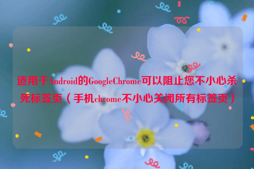 适用于Android的GoogleChrome可以阻止您不小心杀死标签页（手机chrome不小心关闭所有标签页）