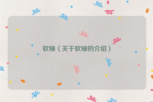 软轴（关于软轴的介绍）