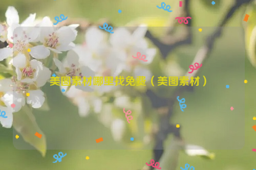 美图素材哪里找免费（美图素材）