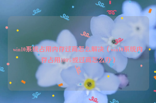 win10系统占用内存过高怎么解决（win10系统内存占用100%或过高怎么办）