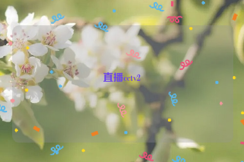 直播cctv2