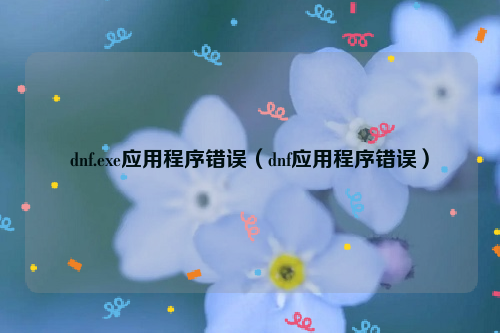 dnf.exe应用程序错误（dnf应用程序错误）
