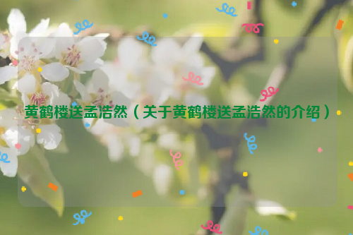 黄鹤楼送孟浩然（关于黄鹤楼送孟浩然的介绍）