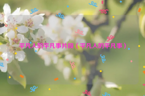 平凡人的平凡事片段（平凡人的平凡事）