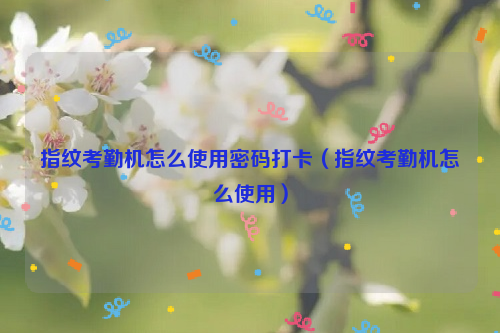 指纹考勤机怎么使用密码打卡（指纹考勤机怎么使用）