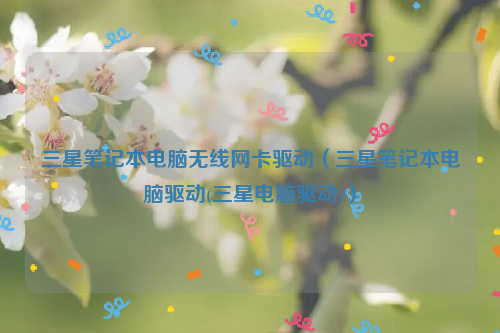 三星笔记本电脑无线网卡驱动（三星笔记本电脑驱动(三星电脑驱动)）