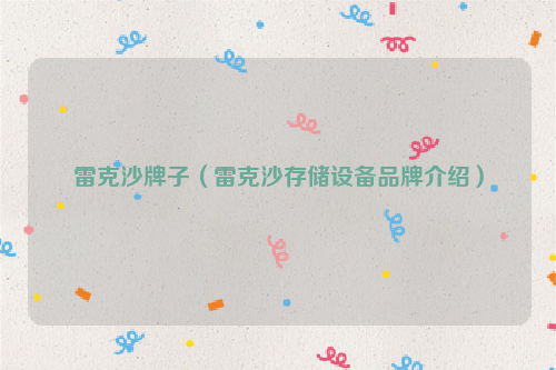 雷克沙牌子（雷克沙存储设备品牌介绍）