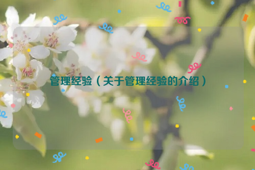 管理经验（关于管理经验的介绍）