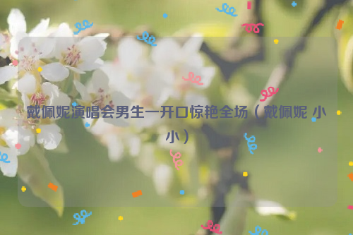 戴佩妮演唱会男生一开口惊艳全场（戴佩妮 小小）