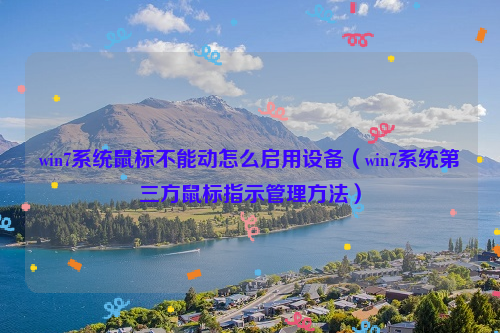 win7系统鼠标不能动怎么启用设备（win7系统第三方鼠标指示管理方法）