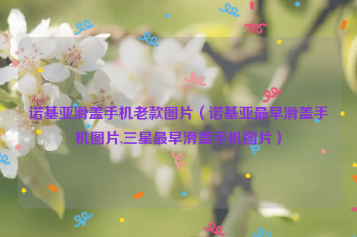 诺基亚滑盖手机老款图片（诺基亚最早滑盖手机图片,三星最早滑盖手机图片）
