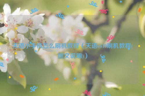 天语小手机怎么刷机教程（天语e619刷机教程(图文说明)）