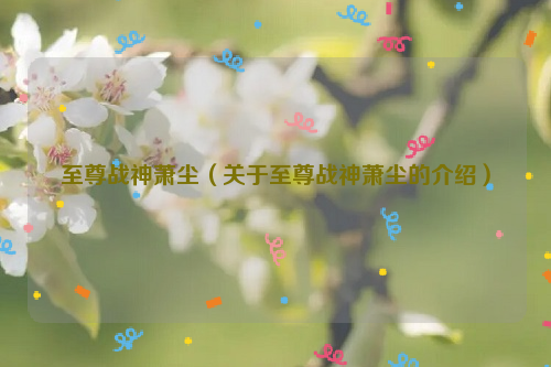 至尊战神萧尘（关于至尊战神萧尘的介绍）