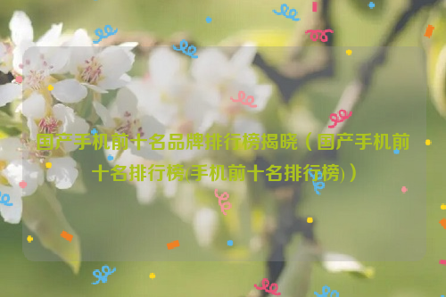 国产手机前十名品牌排行榜揭晓（国产手机前十名排行榜(手机前十名排行榜)）